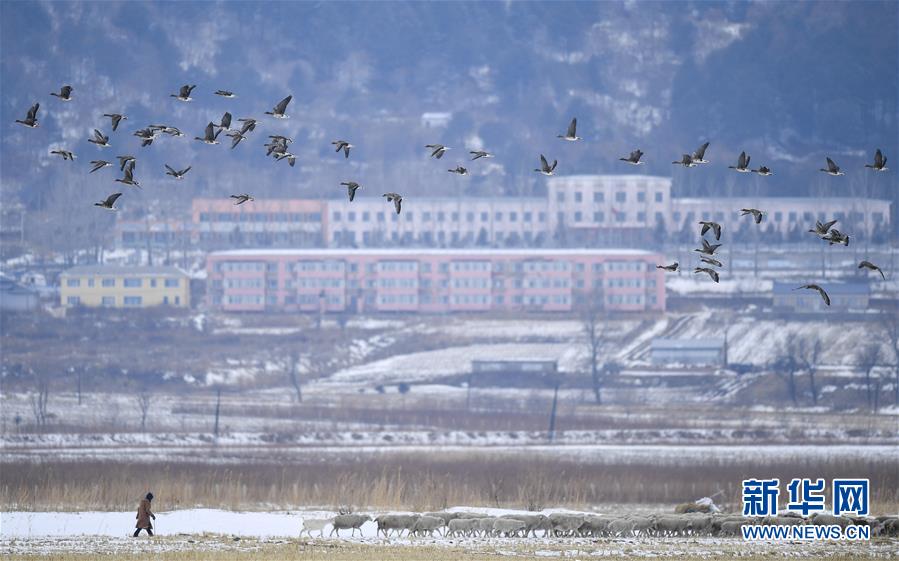 （新華全媒頭條·走向我們的小康生活·圖文互動）（14）黑土地上是我家——在吉林，一瞥中國東北鄉(xiāng)村美麗未來