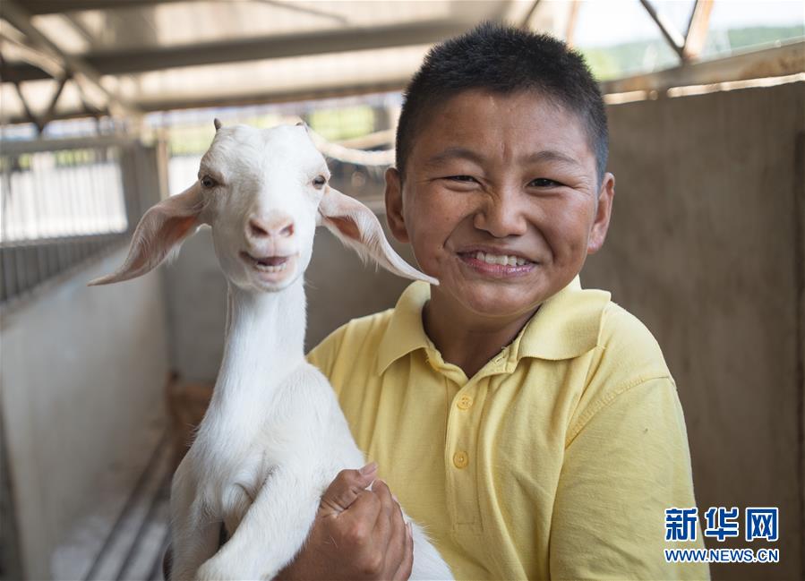 （新華全媒頭條·走向我們的小康生活·圖文互動）（5）特殊之年，荊楚大地書寫不平凡的答卷