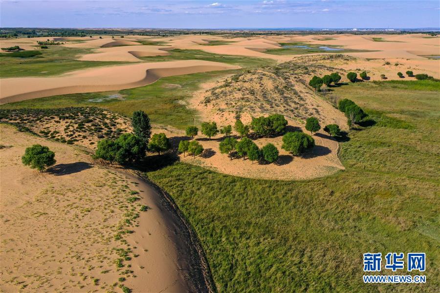 （在習(xí)近平新時(shí)代中國特色社會主義思想指引下&mdash;&mdash;新時(shí)代新作為新篇章&middot;習(xí)近平總書記關(guān)切事&middot;圖文互動(dòng)）（10）綠意，在黃沙中鋪展&mdash;&mdash;我國防沙治沙紀(jì)實(shí)