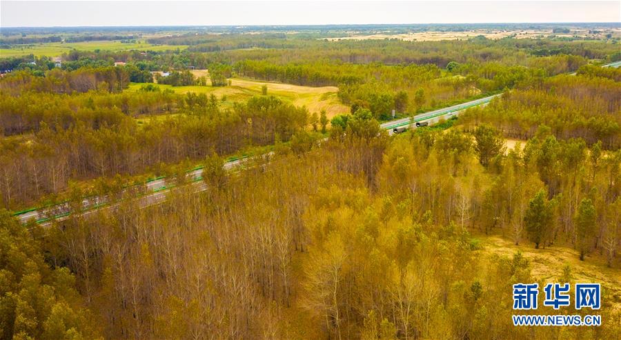 （在習(xí)近平新時(shí)代中國特色社會主義思想指引下&mdash;&mdash;新時(shí)代新作為新篇章&middot;習(xí)近平總書記關(guān)切事&middot;圖文互動(dòng)）（3）綠意，在黃沙中鋪展&mdash;&mdash;我國防沙治沙紀(jì)實(shí)