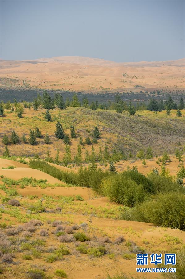 （在習(xí)近平新時(shí)代中國特色社會主義思想指引下&mdash;&mdash;新時(shí)代新作為新篇章&middot;習(xí)近平總書記關(guān)切事&middot;圖文互動(dòng)）（6）綠意，在黃沙中鋪展&mdash;&mdash;我國防沙治沙紀(jì)實(shí)