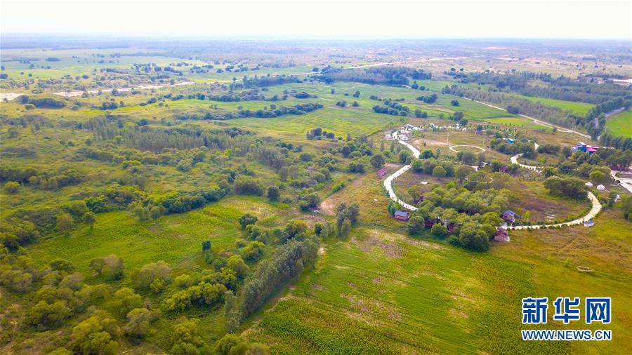 （在習(xí)近平新時(shí)代中國特色社會主義思想指引下&mdash;&mdash;新時(shí)代新作為新篇章&middot;習(xí)近平總書記關(guān)切事&middot;圖文互動(dòng)）（1）綠意，在黃沙中鋪展&mdash;&mdash;我國防沙治沙紀(jì)實(shí)