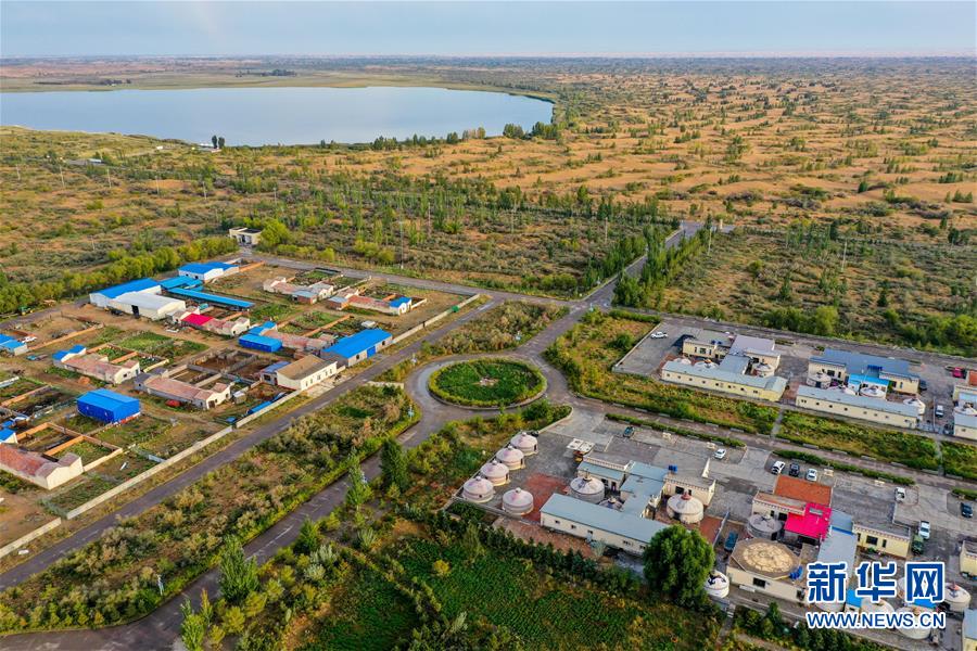 （在習(xí)近平新時(shí)代中國特色社會主義思想指引下&mdash;&mdash;新時(shí)代新作為新篇章&middot;習(xí)近平總書記關(guān)切事&middot;圖文互動(dòng)）（12）綠意，在黃沙中鋪展&mdash;&mdash;我國防沙治沙紀(jì)實(shí)