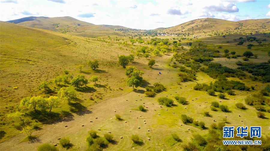 （在習(xí)近平新時(shí)代中國特色社會主義思想指引下&mdash;&mdash;新時(shí)代新作為新篇章&middot;習(xí)近平總書記關(guān)切事&middot;圖文互動(dòng)）（4）綠意，在黃沙中鋪展&mdash;&mdash;我國防沙治沙紀(jì)實(shí)
