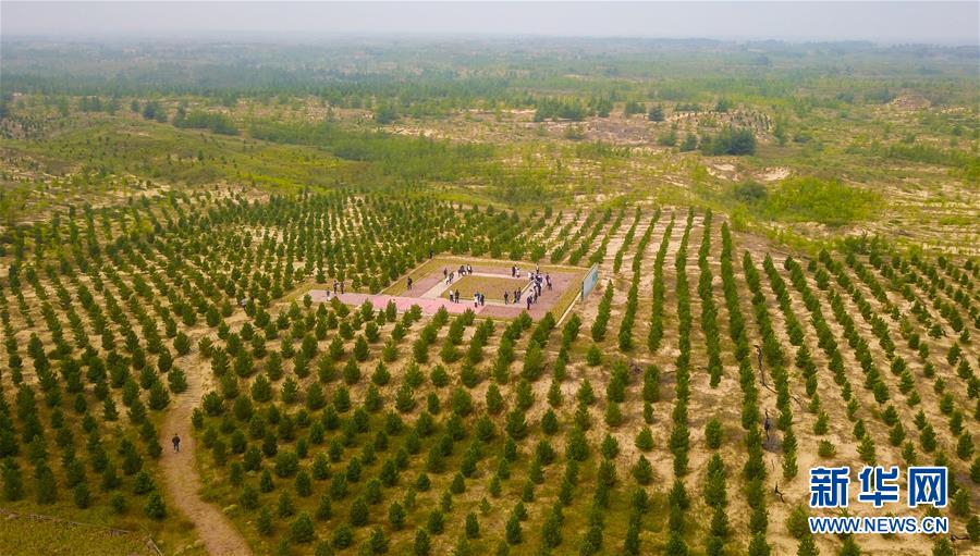 （在習(xí)近平新時(shí)代中國特色社會主義思想指引下&mdash;&mdash;新時(shí)代新作為新篇章&middot;習(xí)近平總書記關(guān)切事&middot;圖文互動(dòng)）（2）綠意，在黃沙中鋪展&mdash;&mdash;我國防沙治沙紀(jì)實(shí)