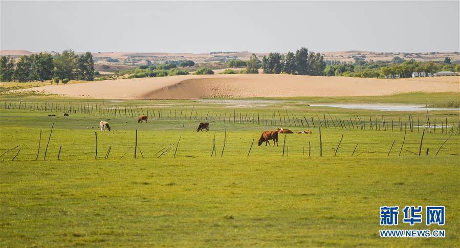 （在習(xí)近平新時(shí)代中國特色社會主義思想指引下&mdash;&mdash;新時(shí)代新作為新篇章&middot;習(xí)近平總書記關(guān)切事&middot;圖文互動(dòng)）（9）綠意，在黃沙中鋪展&mdash;&mdash;我國防沙治沙紀(jì)實(shí)