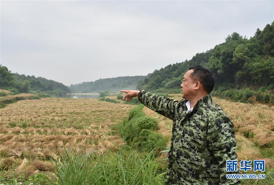 （代表委員履職·圖文互動）（2）“我是農(nóng)民代表，始終關(guān)注農(nóng)村”——全國人大代表沈昌健的履職故事