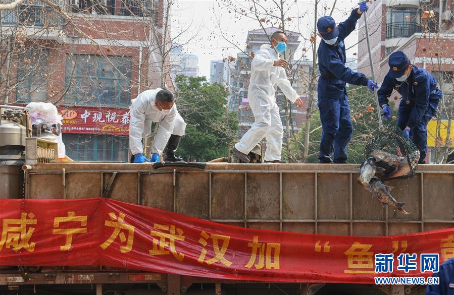 （新華全媒頭條·圖文互動）（12）從人民中汲取磅礴力量——習近平總書記同出席2020年全國兩會人大代表、政協(xié)委員共商國是紀實