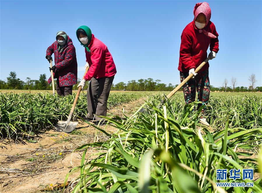 （新華全媒頭條·圖文互動）（17）從人民中汲取磅礴力量——習近平總書記同出席2020年全國兩會人大代表、政協(xié)委員共商國是紀實