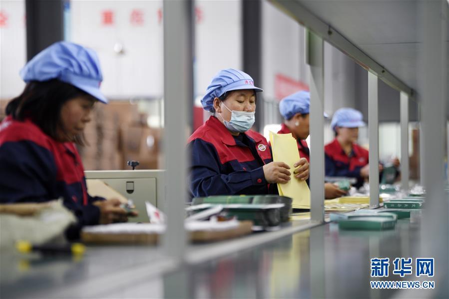 （在習近平新時代中國特色社會主義思想指引下——新時代新作為新篇章·習近平總書記關切事·圖文互動）（1）“綠色銀行”發(fā)工資、“股東”分紅來敲門……——探索長效脫貧致富新機制見聞
