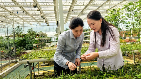 囑托丨生態(tài)守護(hù)者的綠色畫卷