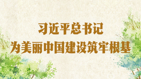 習近平總書記為美麗中國建設筑牢根基