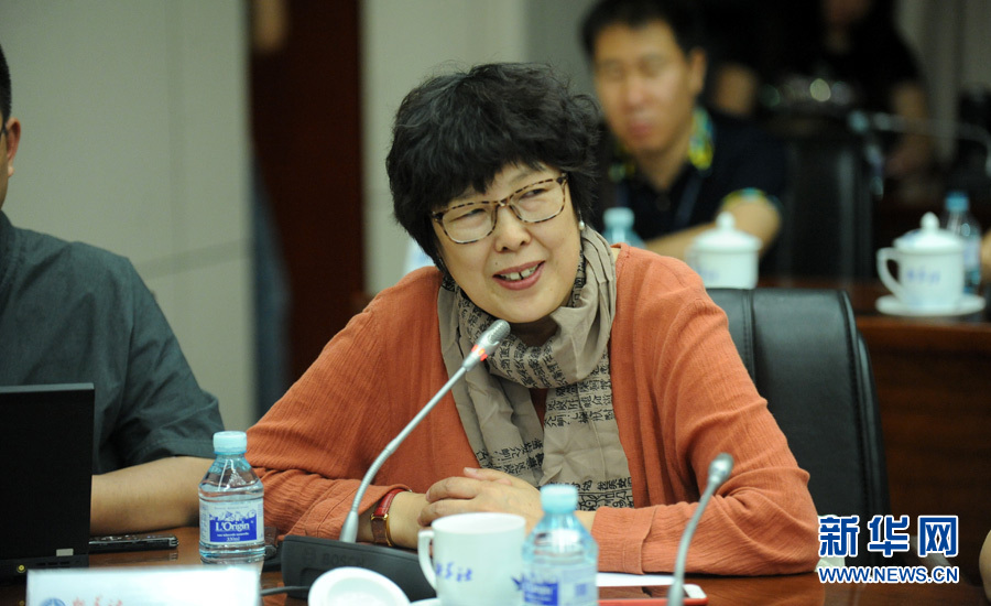 陳小波：新華人對歷史的擔(dān)當(dāng)、情感與良知