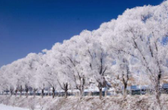 全國(guó)初雪時(shí)間表出爐 看看你離初雪還有多遠(yuǎn)？