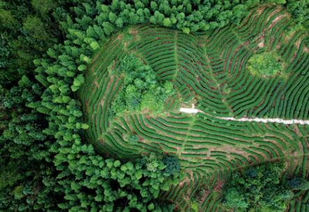 福建龍巖：高效用地，提升生態(tài)環(huán)境水平