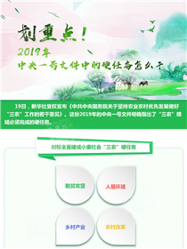 劃重點(diǎn)！2019年中央一號(hào)文件中的硬任務(wù)怎么干
