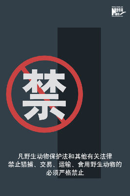 向非法野生動(dòng)物交易、濫食野生動(dòng)物陋習(xí)亮劍