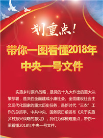 劃重點(diǎn)！帶你一圖看懂2018年中央一號(hào)文件