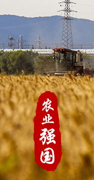 農(nóng)業(yè)強(qiáng)國是社會(huì)主義現(xiàn)代化強(qiáng)國的根基。