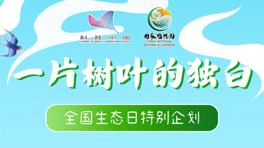 全國生態(tài)日丨一片樹葉的獨(dú)白