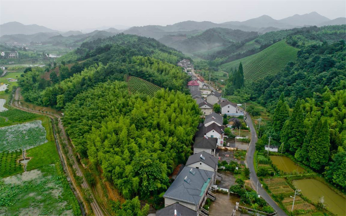 從2003年起，浙江省開展了“千村示范、萬(wàn)村整治”工程