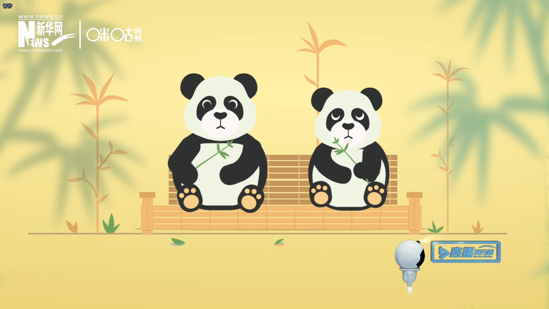 “哥哥你看，又有人來看我們了。”“有什么奇怪的，我們可是聯(lián)合國‘最萌’的大使?。?rdquo;。