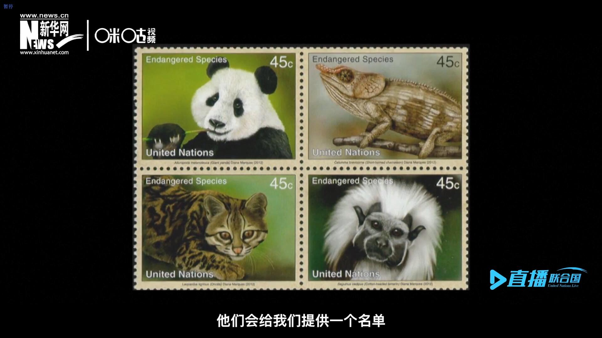 CITES（瀕危野生動植物種國際貿(mào)易公約）會給聯(lián)合國郵政設(shè)計師提供一個名單，雙方共同合作在附錄中找到名單中應(yīng)該受到關(guān)注的動物。