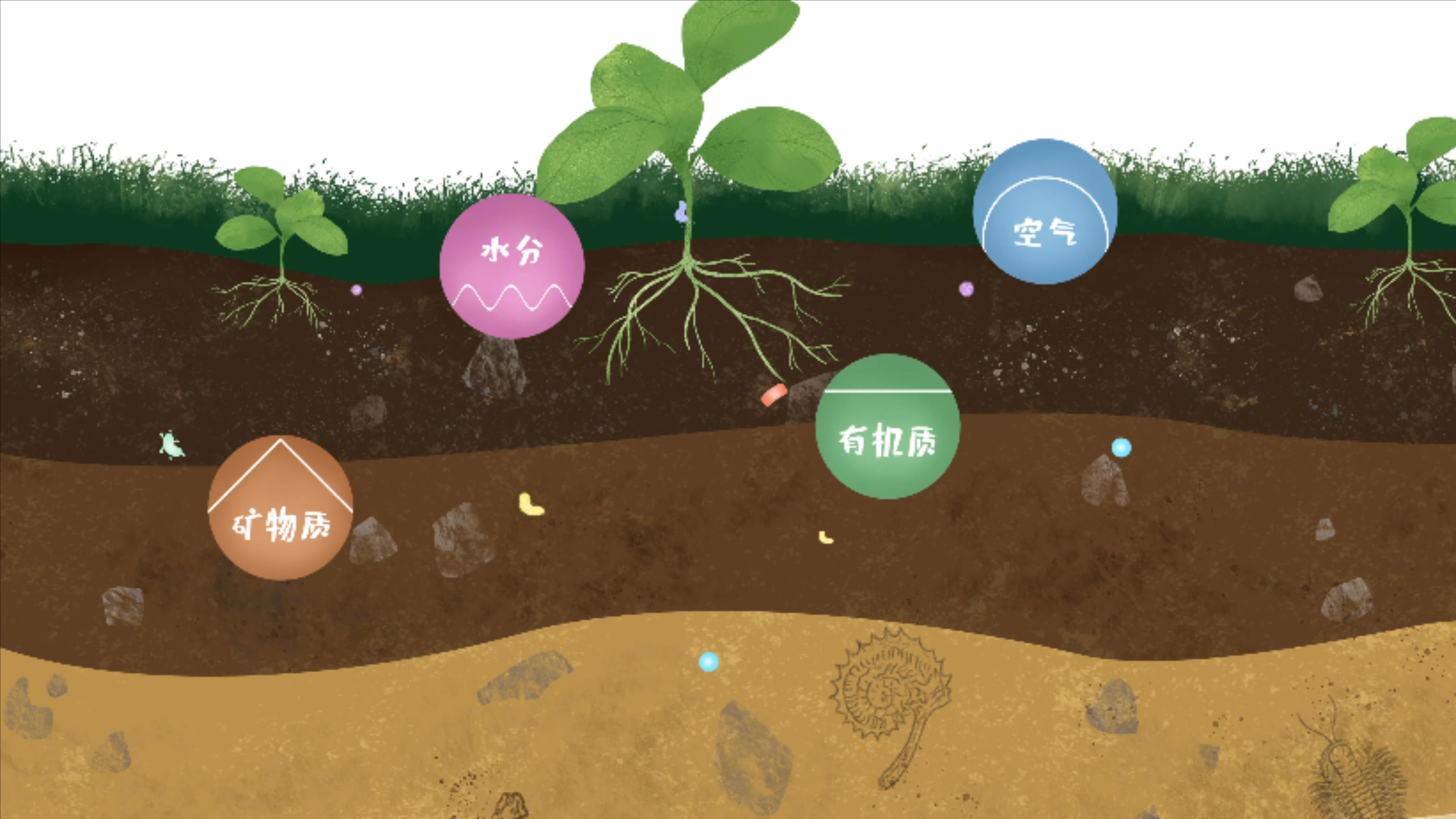 土壤由礦物質(zhì)、有機(jī)質(zhì)、水分、空氣及包括微生物在內(nèi)的生物體等組成