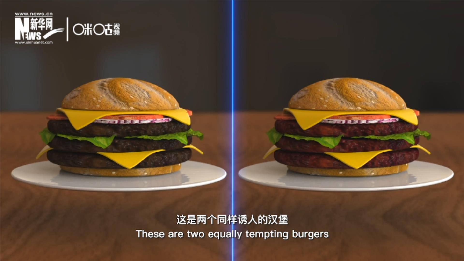 人造肉漢堡能在生產(chǎn)過程中節(jié)約水、土地、排放以及能量