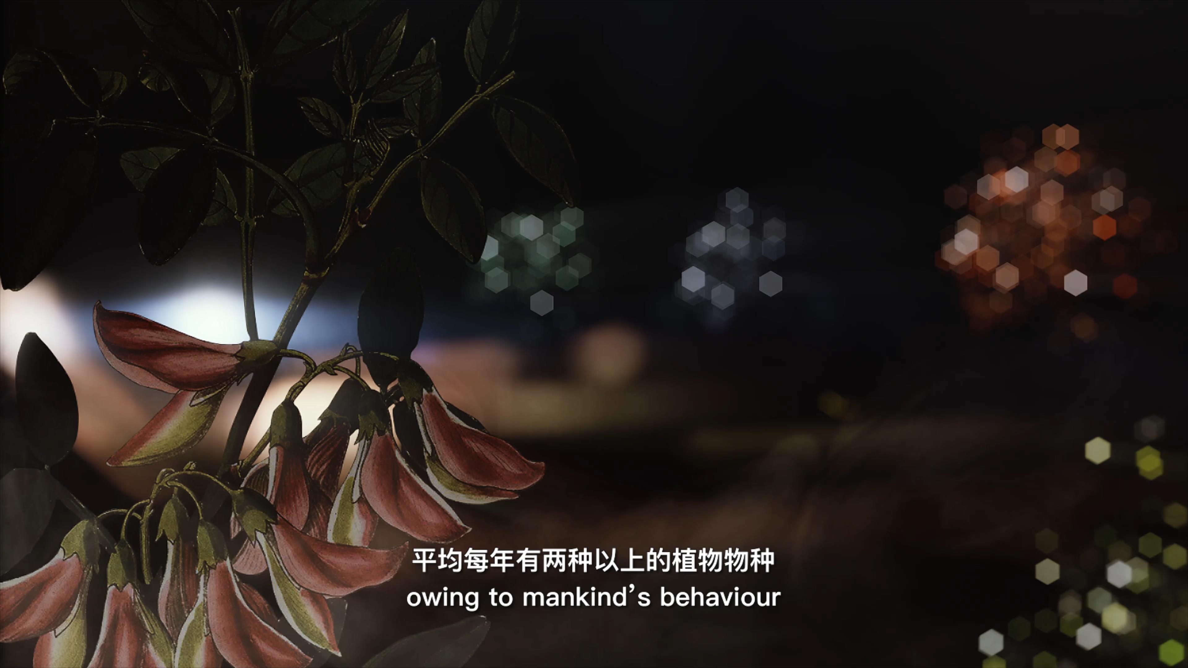 自18世紀(jì)中葉以來(lái)，許多植物物種因?yàn)槿祟惖脑蚨鴱牡厍蛏舷? />      
<div   id=