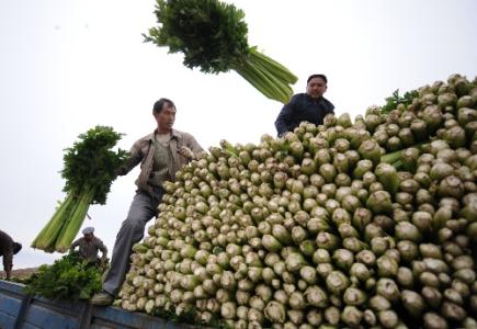劉永富：發(fā)展產(chǎn)業(yè)脫貧仍是精準(zhǔn)扶貧、精準(zhǔn)脫貧主攻方向