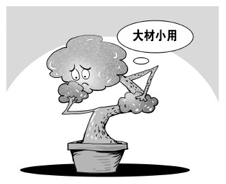 自認“大材小用”，不如腳踏實地