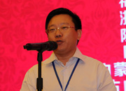 國際旅游投資協(xié)會副會長、巔峰智業(yè)首席顧問劉鋒