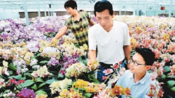 臺商眼中的改革開放：風(fēng)景這邊獨(dú)好 要去，要去，要去！