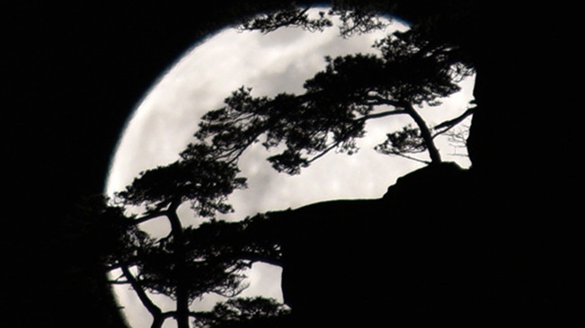 太驚艷！明月奇松 夢(mèng)幻同框