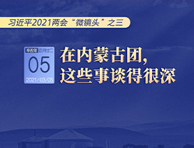 習(xí)近平2021兩會“微鏡頭”之三 3月5日 在內(nèi)蒙古團，這些事談得很深