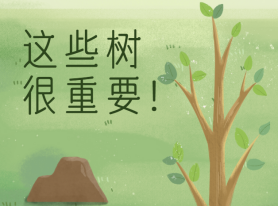 這些樹很重要！
