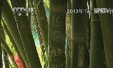 “五一”去哪？：快樂出行 文明旅游