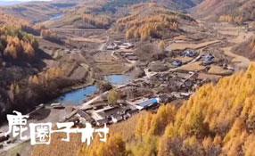 探秘關(guān)東人家，畫一個(gè)童話里的秋天